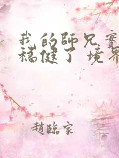 我的师兄实在太稳健了 境界划分
