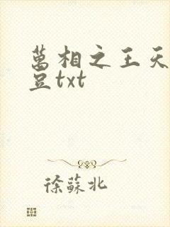 万相之王天蚕土豆txt