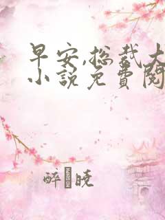 早安,总裁大人小说免费阅读全部章节