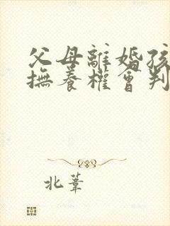 父母离婚孩子的抚养权会判给谁
