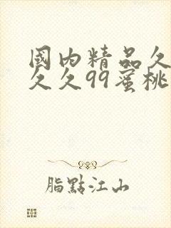 国内精品久久久久久99蜜桃