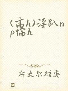 (高h)淫趴np伦h