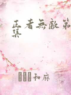 正者无敌第12集
