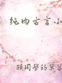 纯肉古言小说