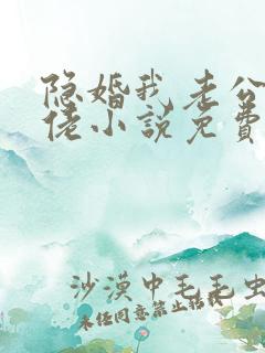 隐婚我老公是大佬小说免费阅读