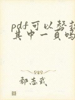 pdf可以替换其中一页吗