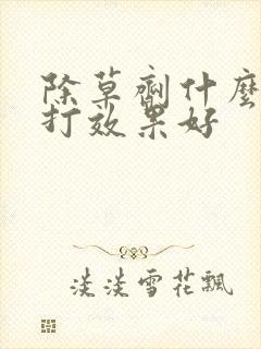 除草剂什么时间打效果好