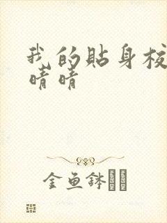 我的贴身校花黄晴晴
