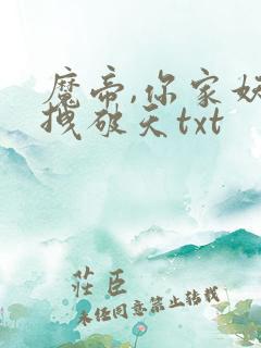 魔帝,你家妖妃拽破天txt
