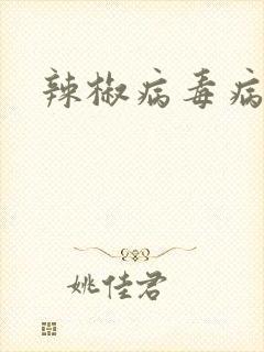 辣椒病毒病病症