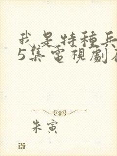 我是特种兵第15集电视剧在线观看