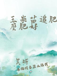 玉米苗追肥用什么肥好