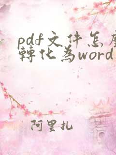 pdf文件怎么转化为word文件