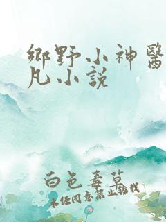 乡野小神医李小凡小说