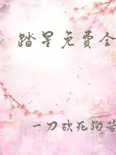 踏星免费全文阅