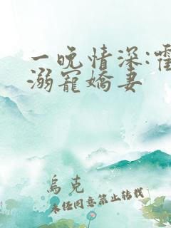 一晚情深:霍少溺宠娇妻