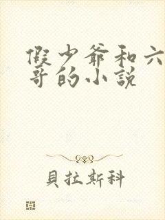 假少爷和六个哥哥的小说