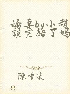 娇妻by小赵小说完结了吗