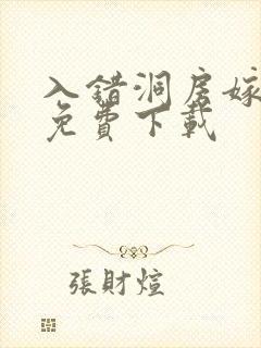 入错洞房嫁对郎免费下载
