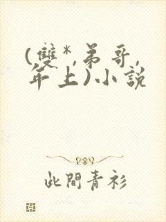 (双*,弟哥,年上)小说