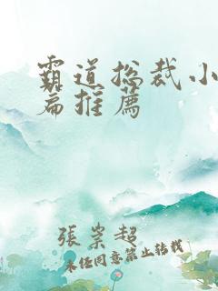 霸道总裁小说短篇推荐