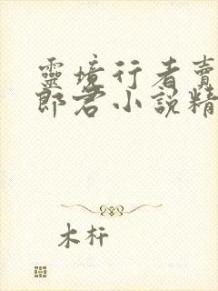 灵境行者卖报小郎君小说精校版