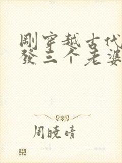 刚穿越古代官府发三个老婆的小说