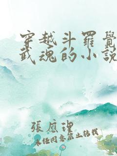 穿越斗罗觉醒剑武魂的小说