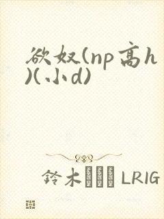 欲奴(np高h)(小d)