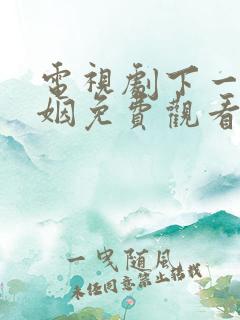 电视剧下一站婚姻免费观看第一集