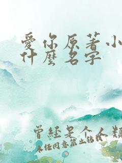 爱你原著小说叫什么名字