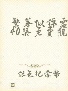 繁华似锦电视剧40集免费观看