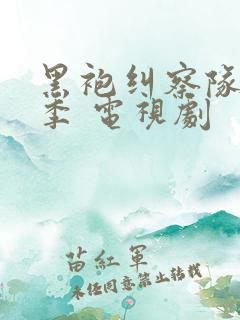 黑袍纠察队第四季 电视剧