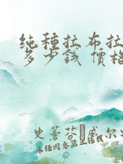 纯种拉布拉多犬多少钱 价格