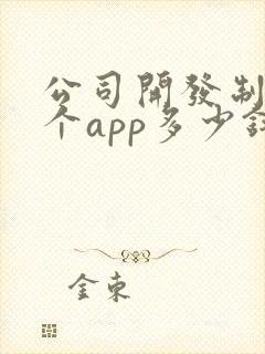 公司开发制作一个app多少钱