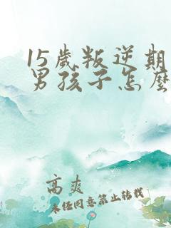 15岁叛逆期的男孩子怎么去引导