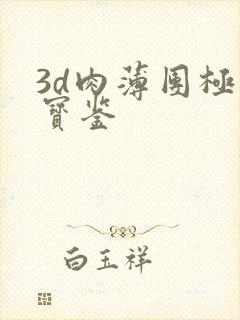 3d肉薄团极乐宝鉴