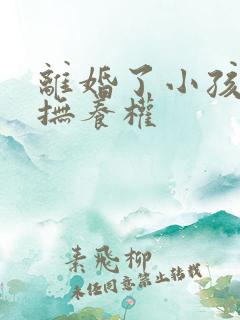 离婚了小孩归谁抚养权