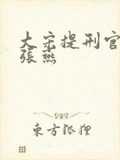大宋提刑官何氏张燕