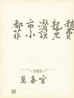都市潜龙赵东苏菲小说免费看