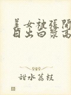 美女被张开双腿日出白浆高清视频