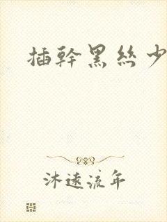 插干黑丝少妇