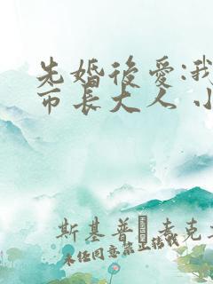 先婚后爱:我的市长大人 小说