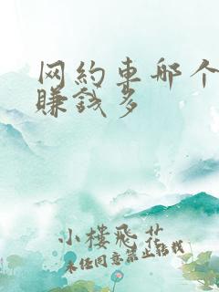 网约车哪个城市赚钱多