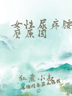 女性尿疼腰痛什么原因