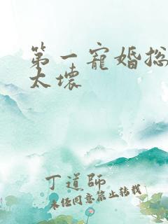 第一宠婚总裁别太坏