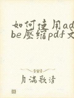 如何使用adobe压缩pdf文件大小