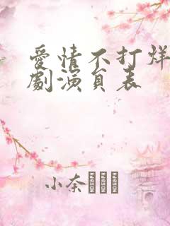爱情不打烊电视剧演员表