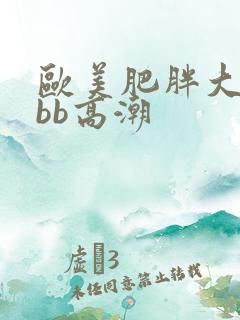 欧美肥胖大bbbb高潮