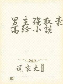 男主强取豪夺的高干小说